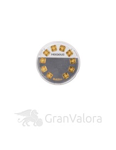 10 x 1 g Gold Multidisc