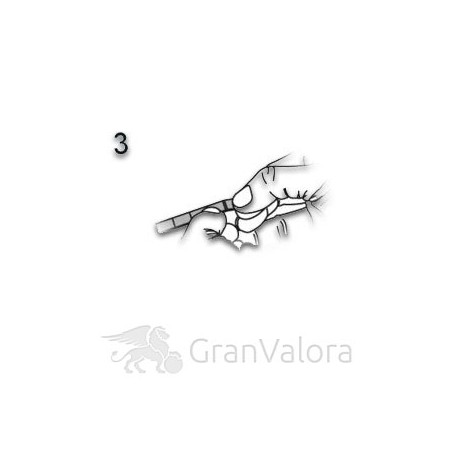 50 x 1g Gold Tafelbarren (Goldtafel) - GranValora