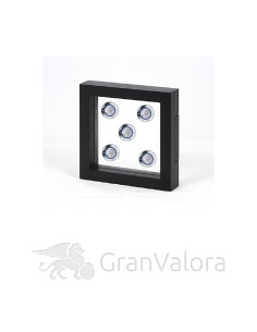 7x7cm Münzschweberahmen schwarz 2