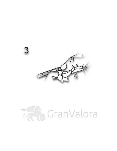 10 x 10g Silber Tafelbarren (Münztafel) - GranValora