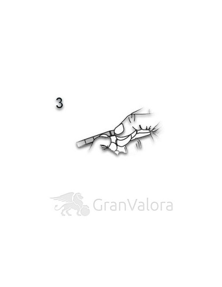 10 x 10g Silber Tafelbarren (Münztafel) - GranValora