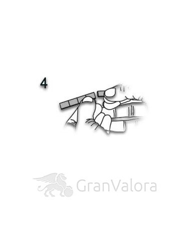 10 x 10g Silber Tafelbarren (Münztafel) - GranValora