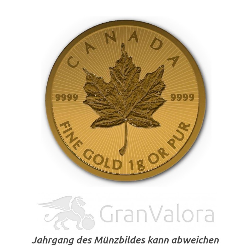 Gold Maplegram (25 x 1 Gramm Goldmünzen)